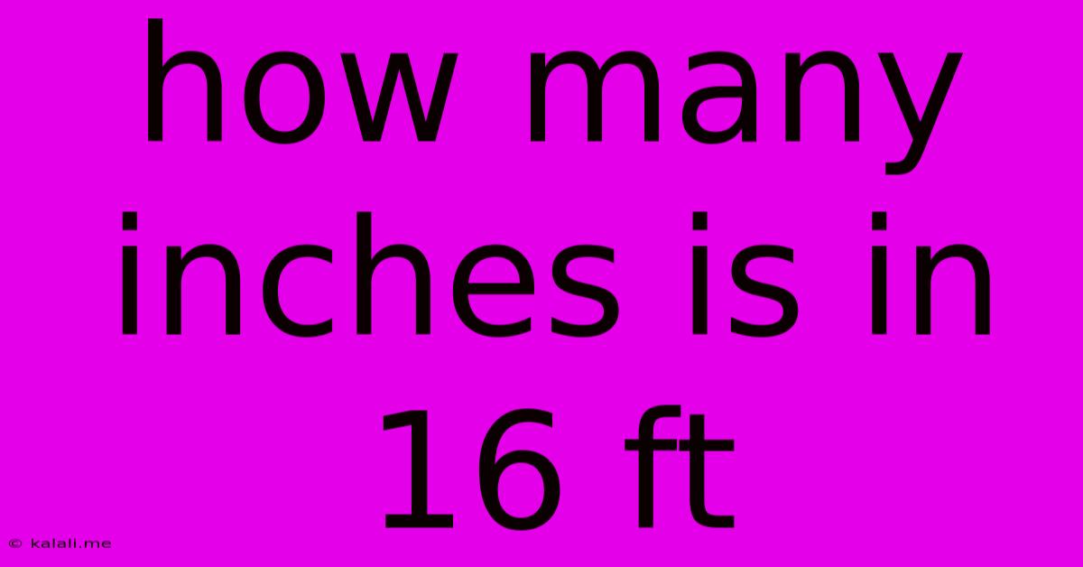 How Many Inches Is In 16 Ft
