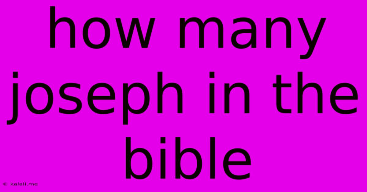 How Many Joseph In The Bible