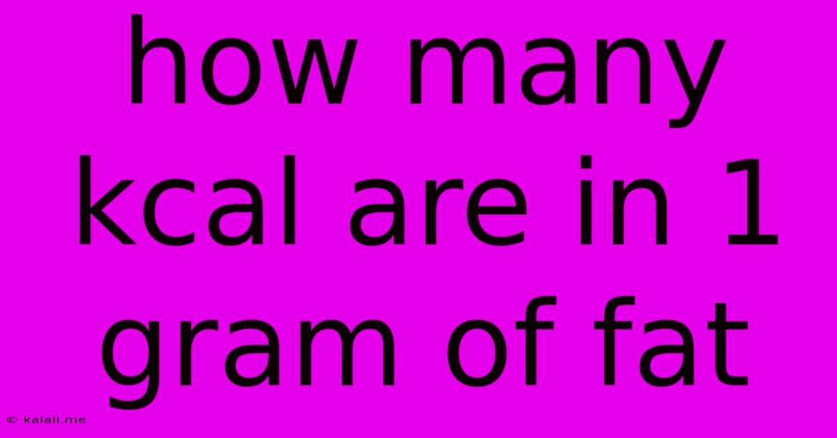 How Many Kcal Are In 1 Gram Of Fat