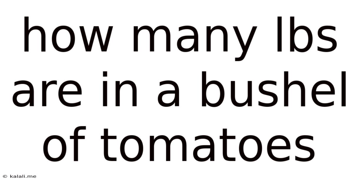 How Many Lbs Are In A Bushel Of Tomatoes