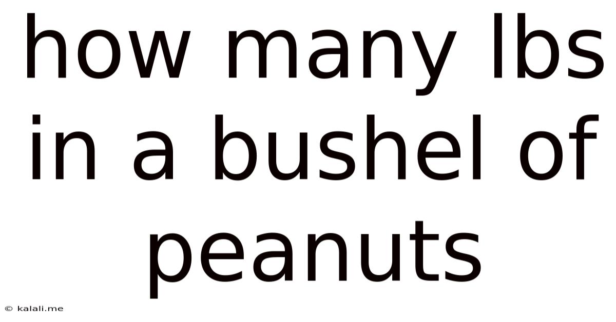 How Many Lbs In A Bushel Of Peanuts