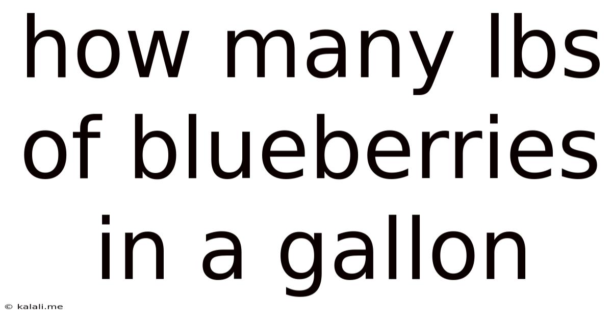 How Many Lbs Of Blueberries In A Gallon