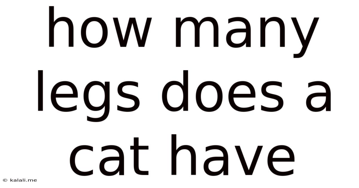 How Many Legs Does A Cat Have