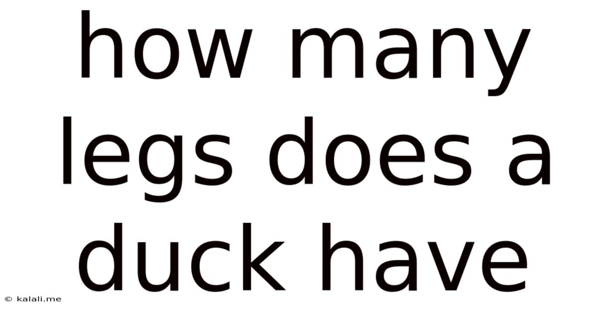 How Many Legs Does A Duck Have