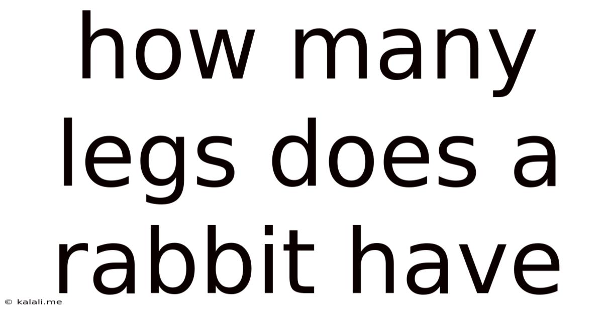 How Many Legs Does A Rabbit Have