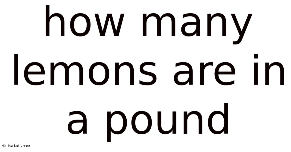 How Many Lemons Are In A Pound