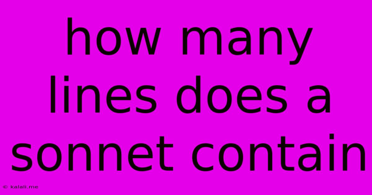 How Many Lines Does A Sonnet Contain