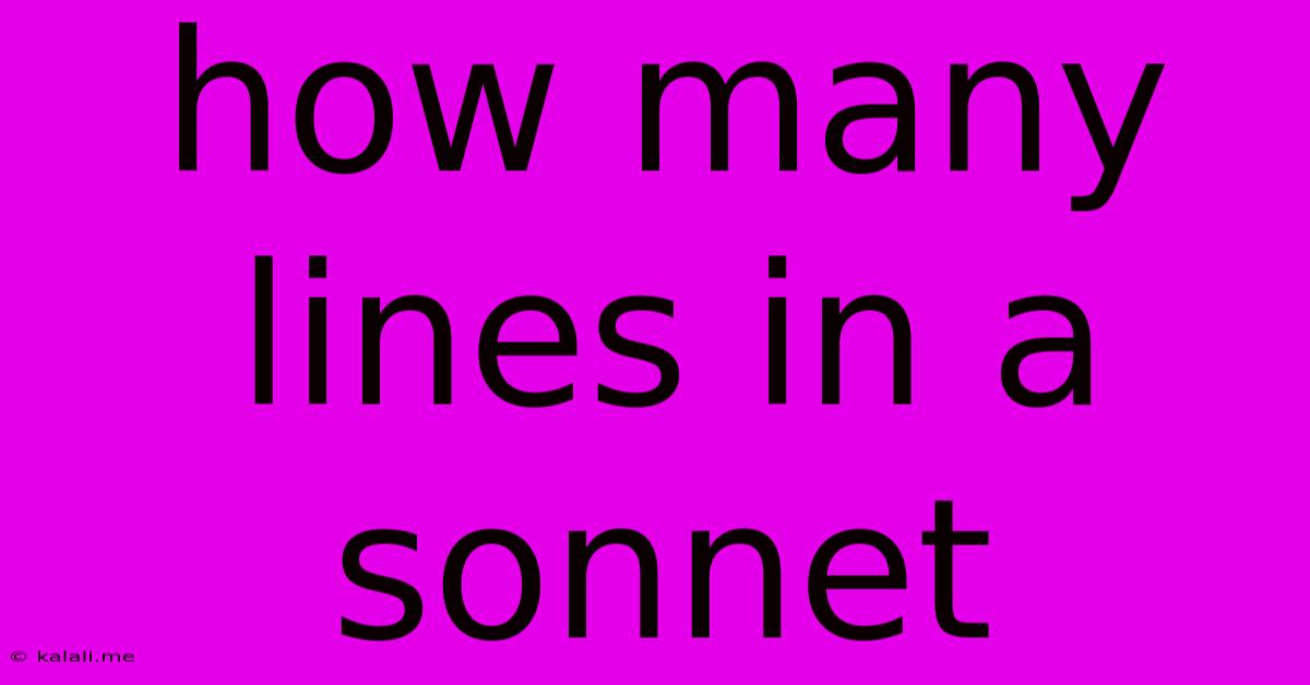 How Many Lines In A Sonnet