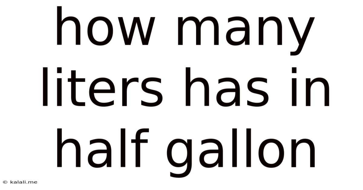 How Many Liters Has In Half Gallon