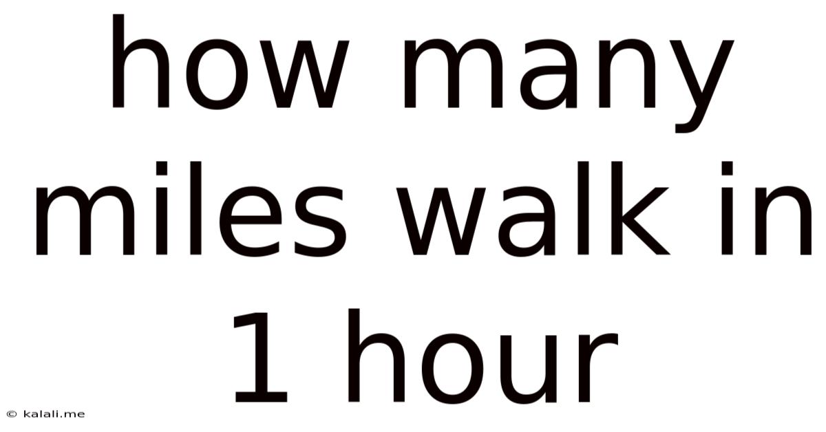 How Many Miles Walk In 1 Hour