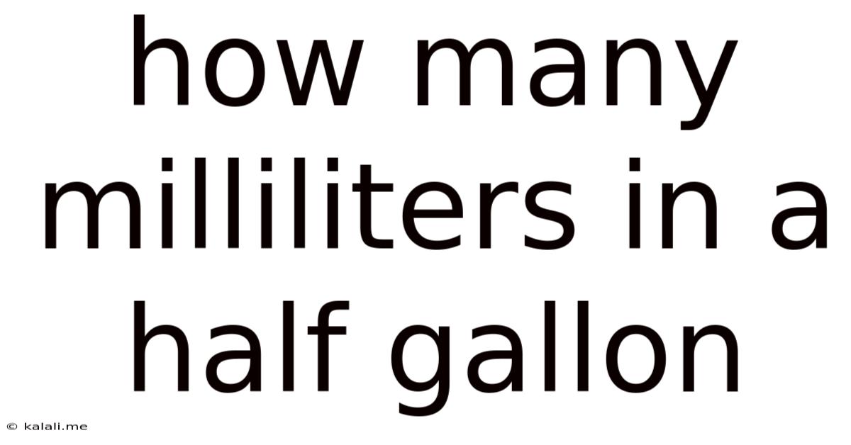 How Many Milliliters In A Half Gallon