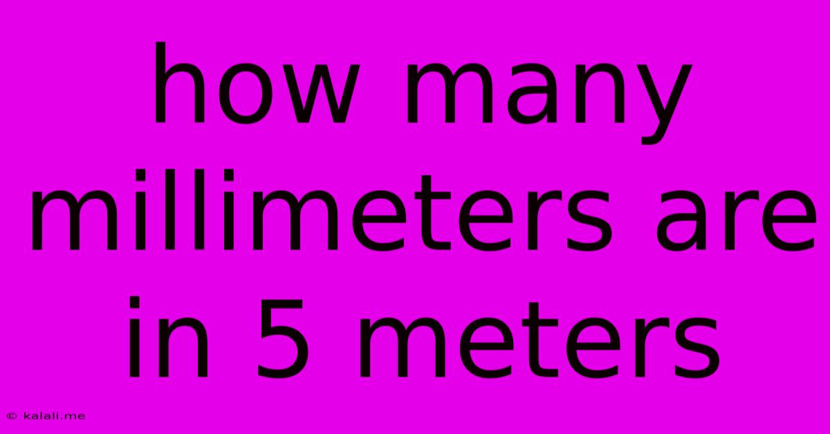 How Many Millimeters Are In 5 Meters