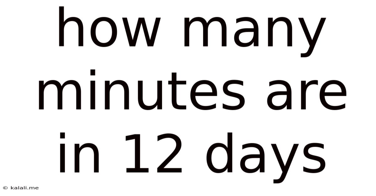 How Many Minutes Are In 12 Days