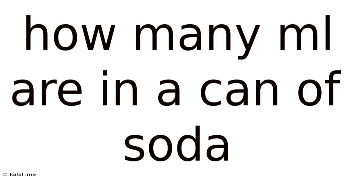 How Many Ml Are In A Can Of Soda