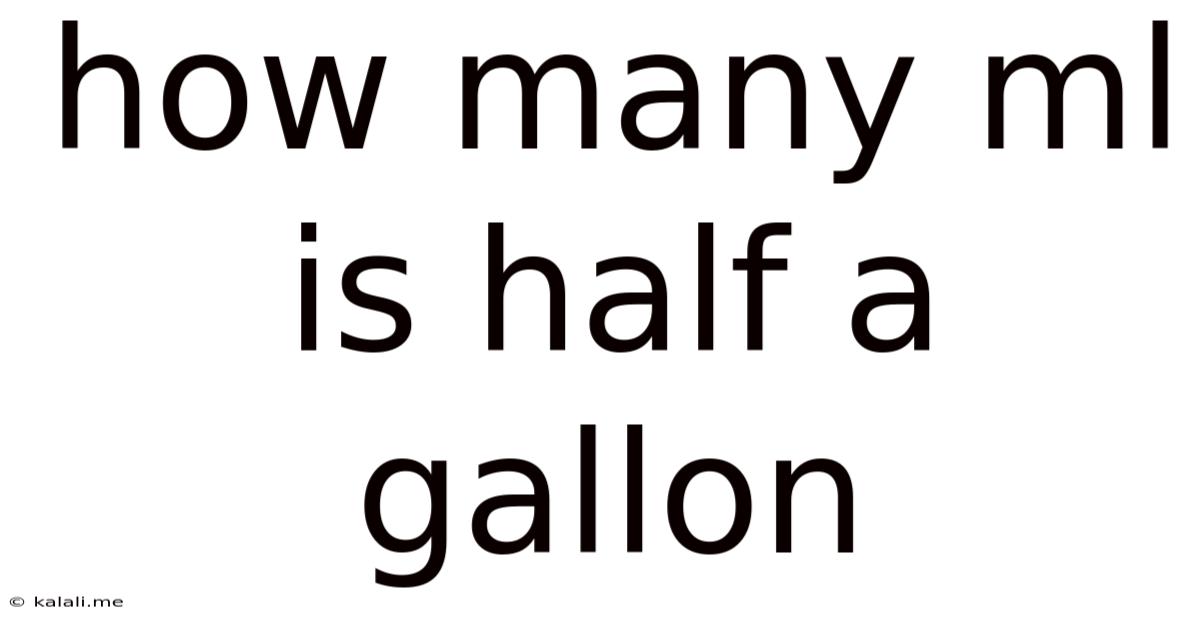 How Many Ml Is Half A Gallon