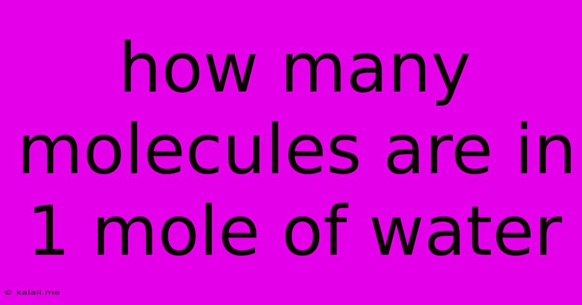 How Many Molecules Are In 1 Mole Of Water