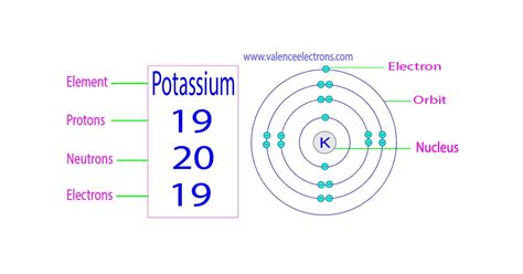 How Many Neutrons Does Potassium Have