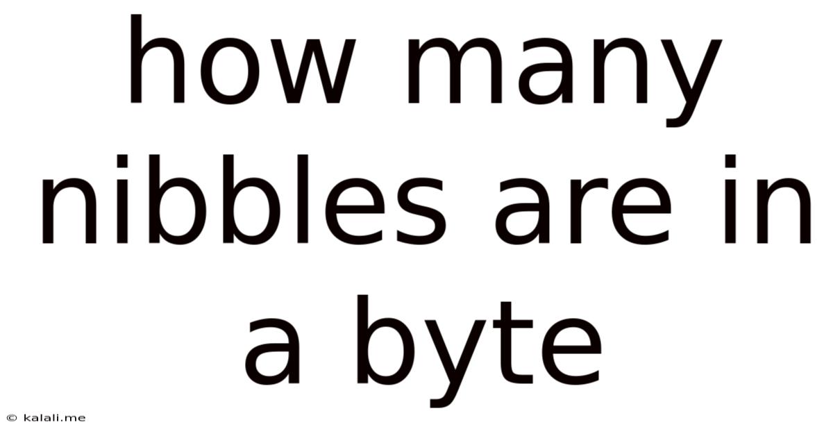 How Many Nibbles Are In A Byte