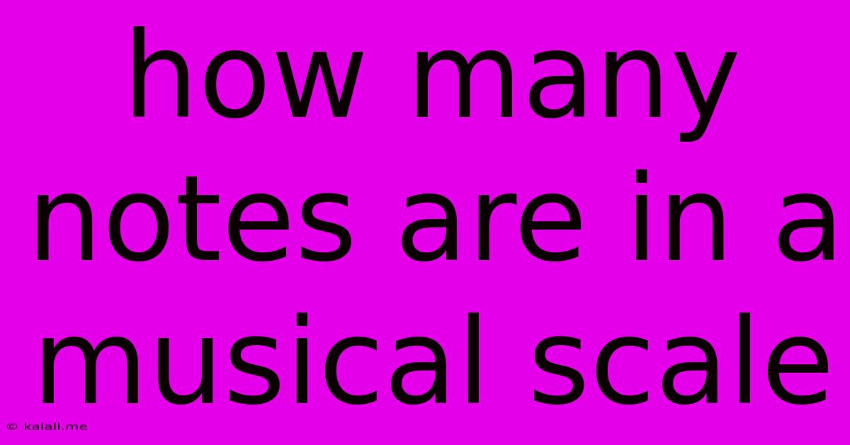 How Many Notes Are In A Musical Scale