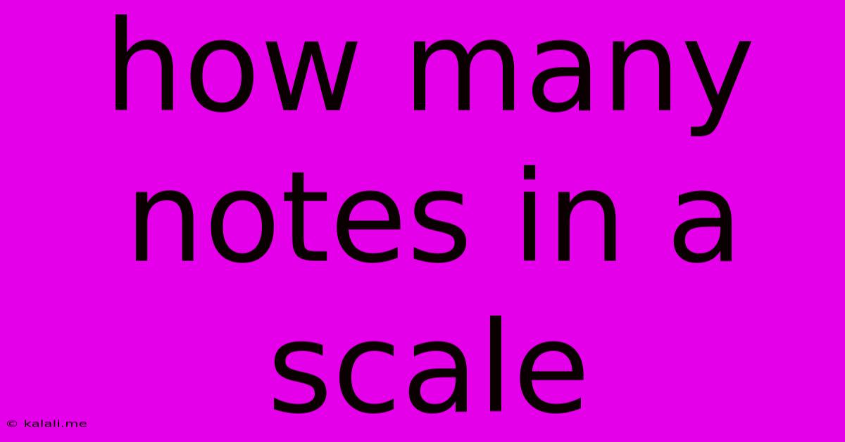 How Many Notes In A Scale