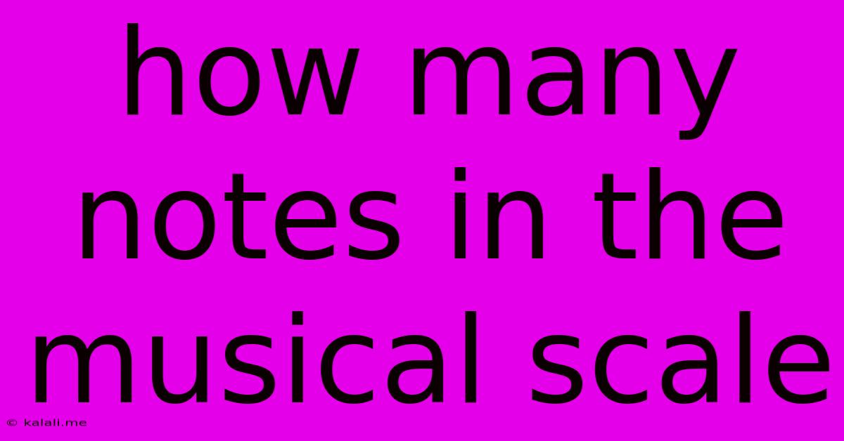 How Many Notes In The Musical Scale