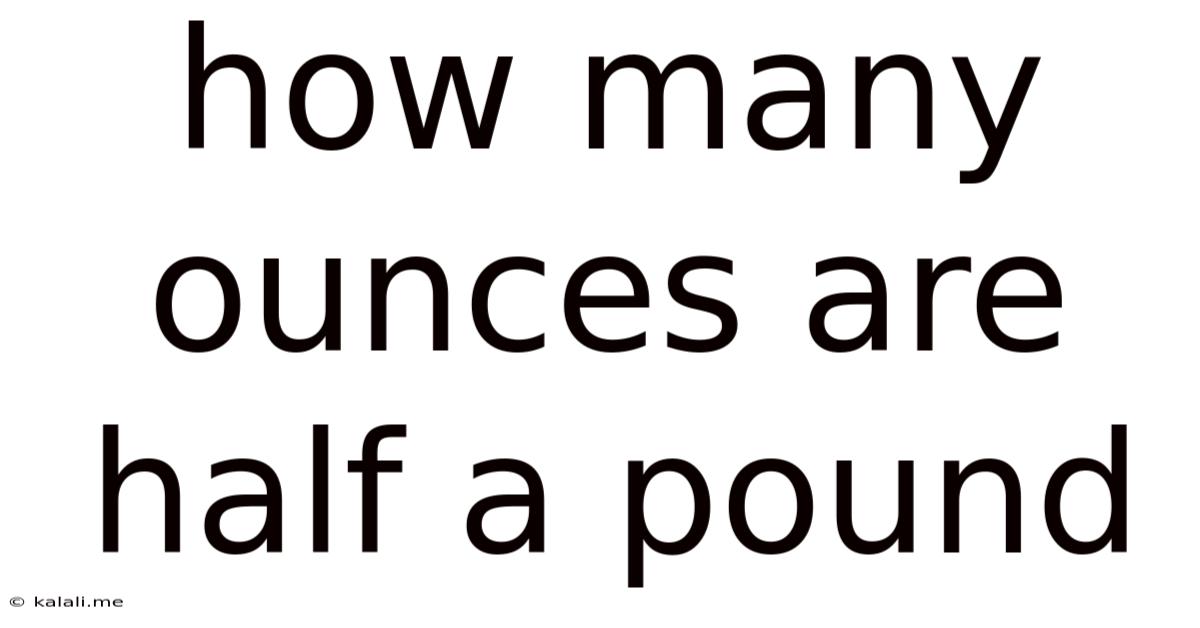 How Many Ounces Are Half A Pound