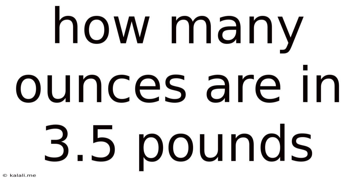 How Many Ounces Are In 3.5 Pounds