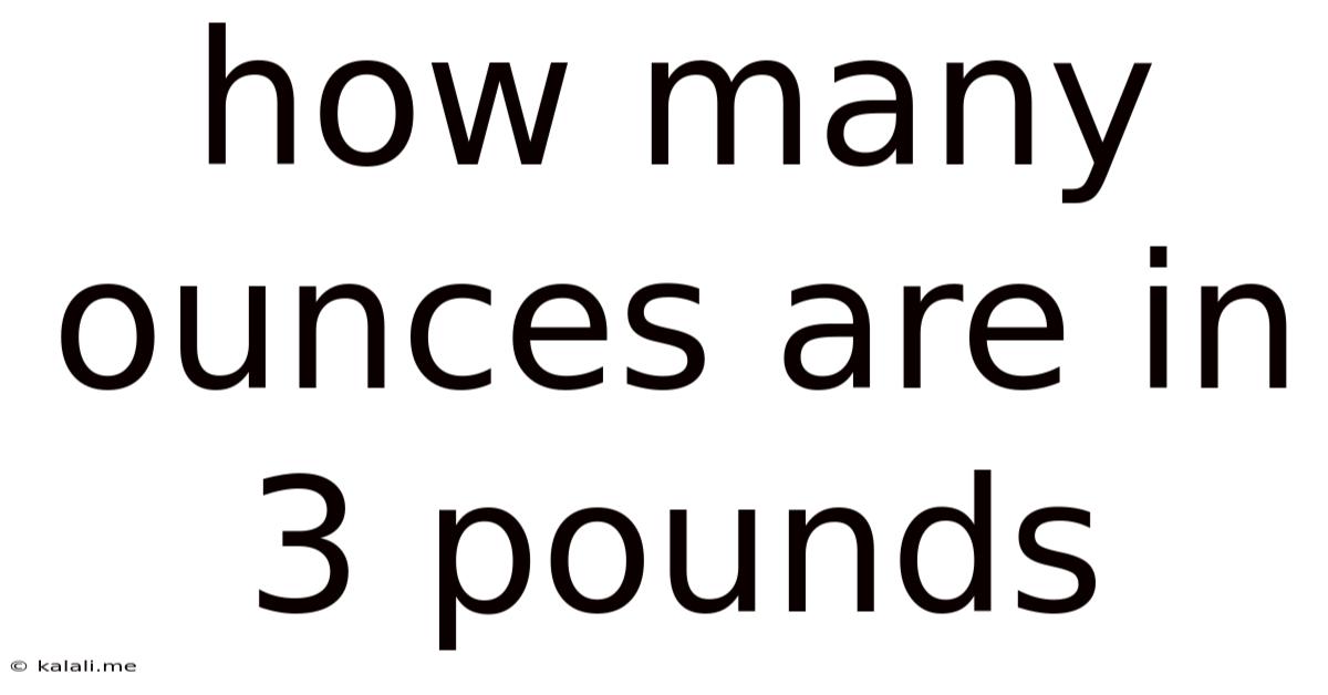 How Many Ounces Are In 3 Pounds