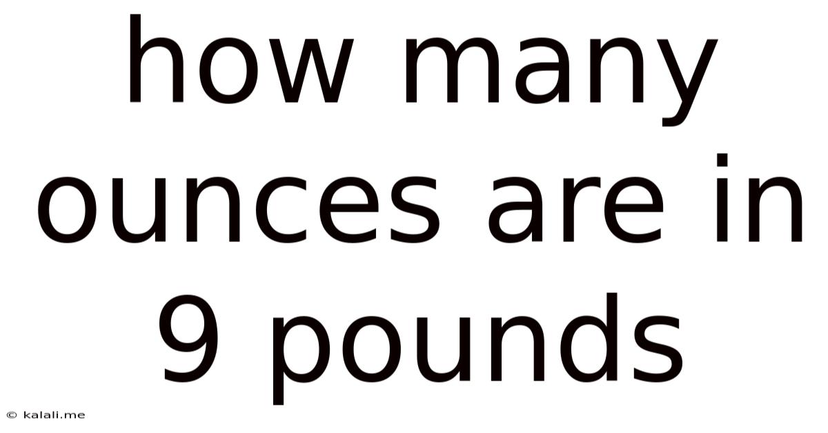 How Many Ounces Are In 9 Pounds