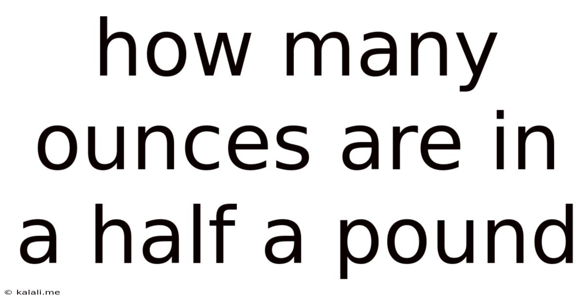 How Many Ounces Are In A Half A Pound