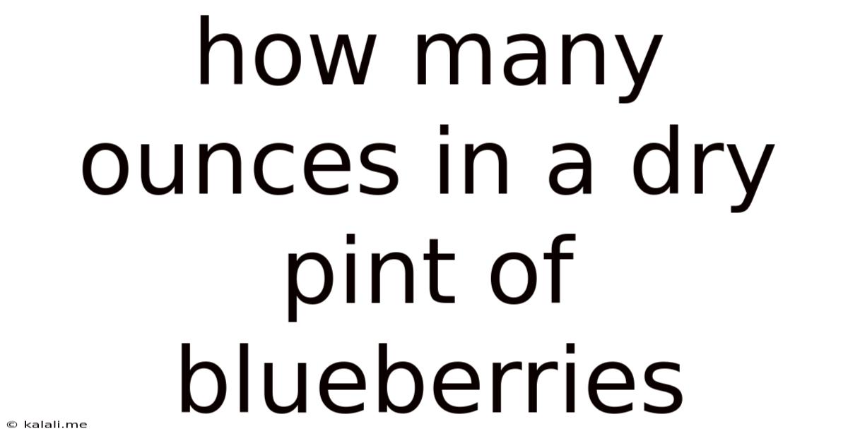 How Many Ounces In A Dry Pint Of Blueberries
