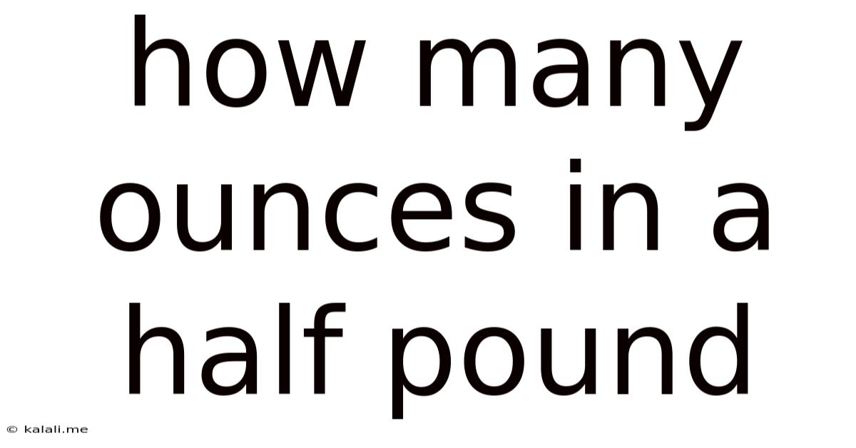 How Many Ounces In A Half Pound