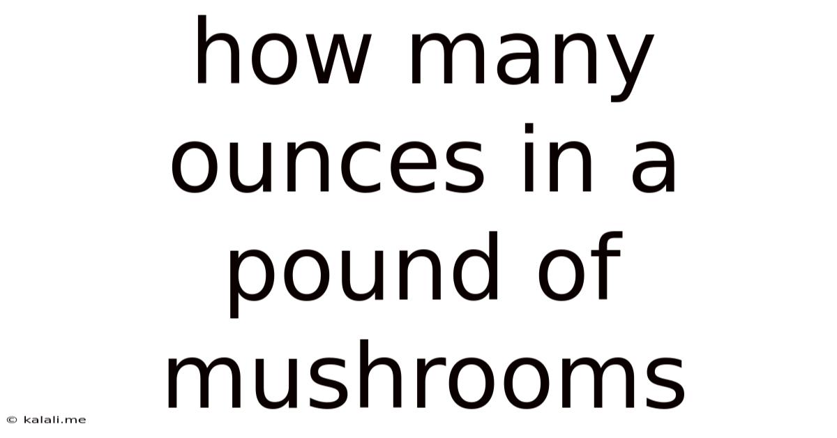 How Many Ounces In A Pound Of Mushrooms