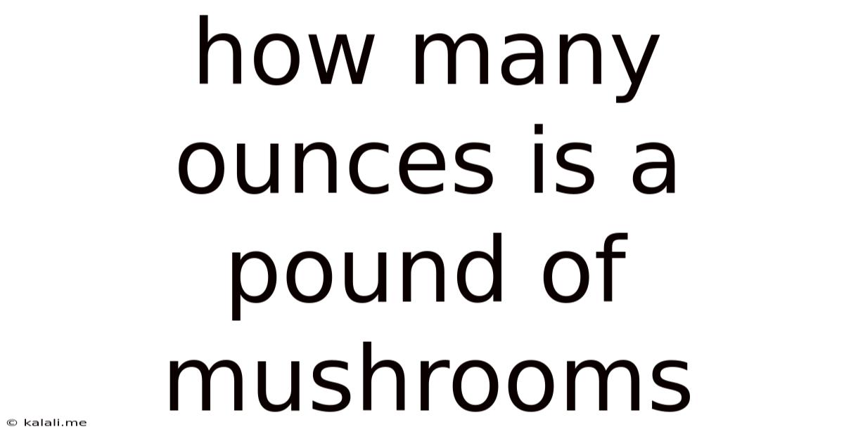 How Many Ounces Is A Pound Of Mushrooms
