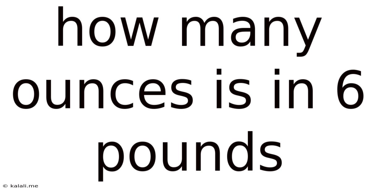 How Many Ounces Is In 6 Pounds