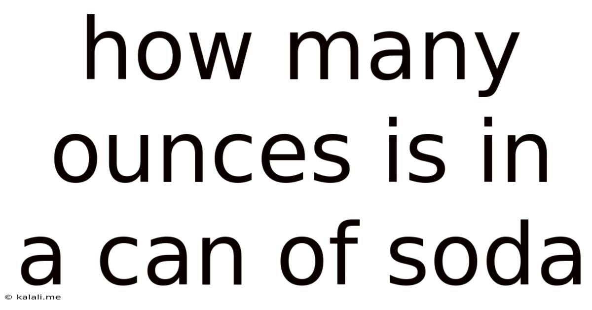 How Many Ounces Is In A Can Of Soda