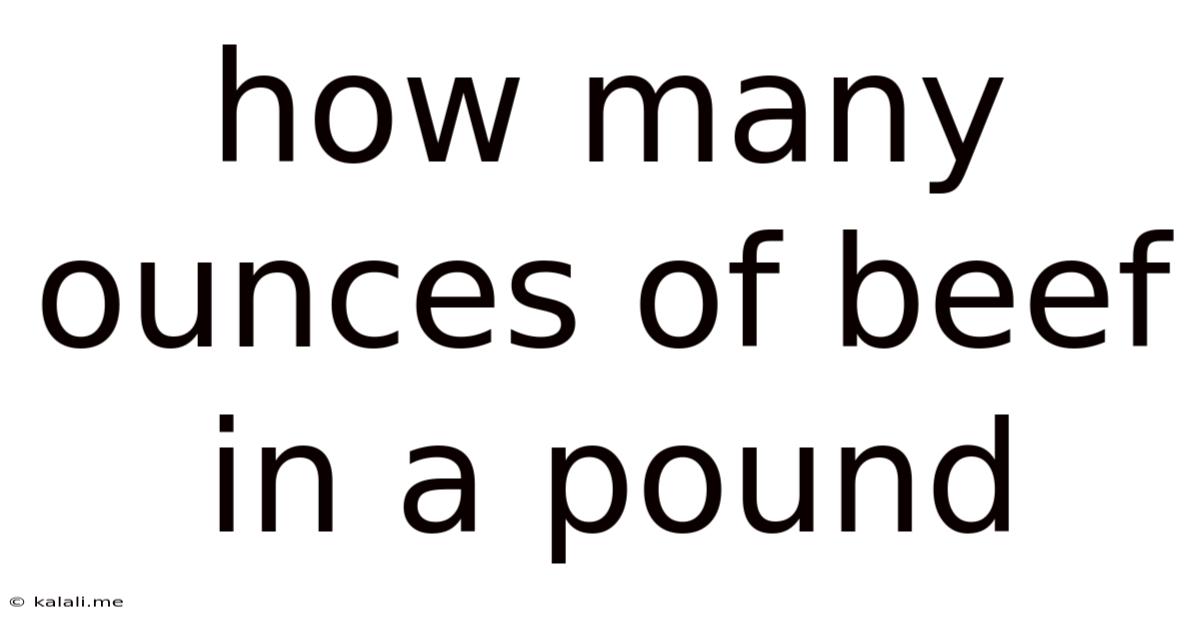 How Many Ounces Of Beef In A Pound