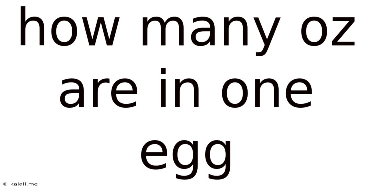How Many Oz Are In One Egg