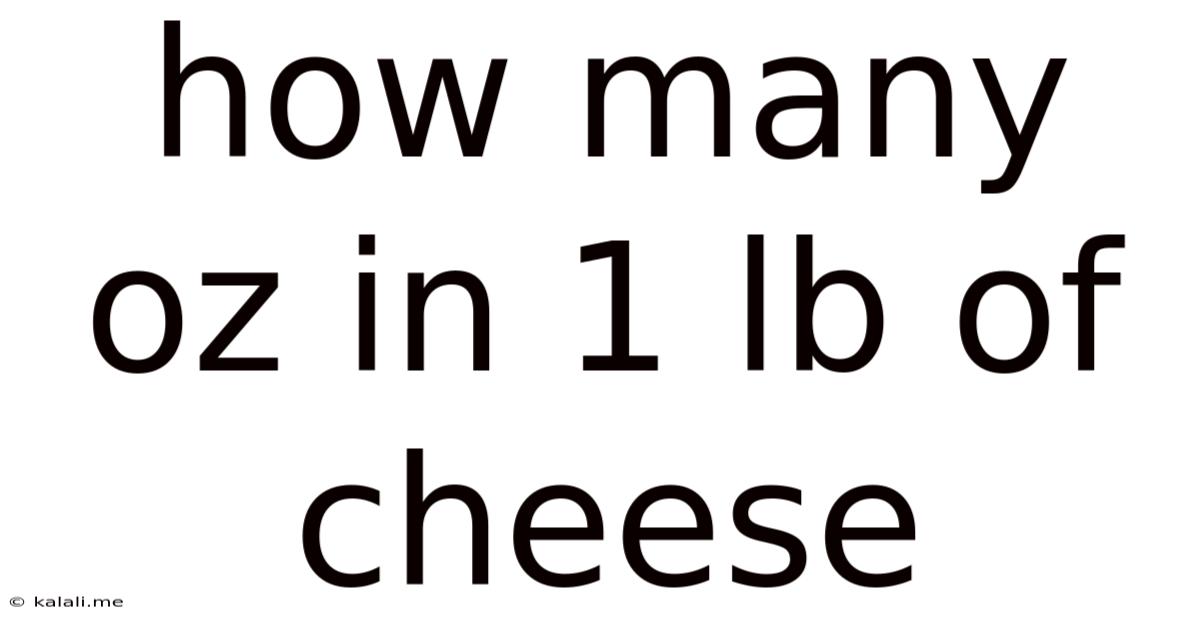 How Many Oz In 1 Lb Of Cheese