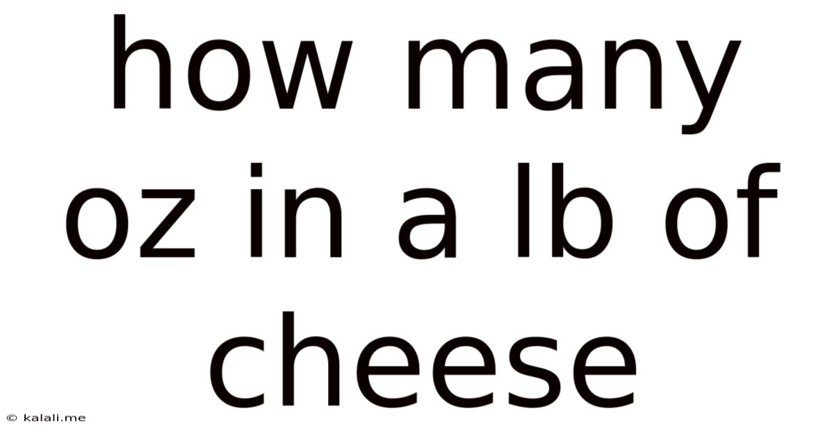 How Many Oz In A Lb Of Cheese