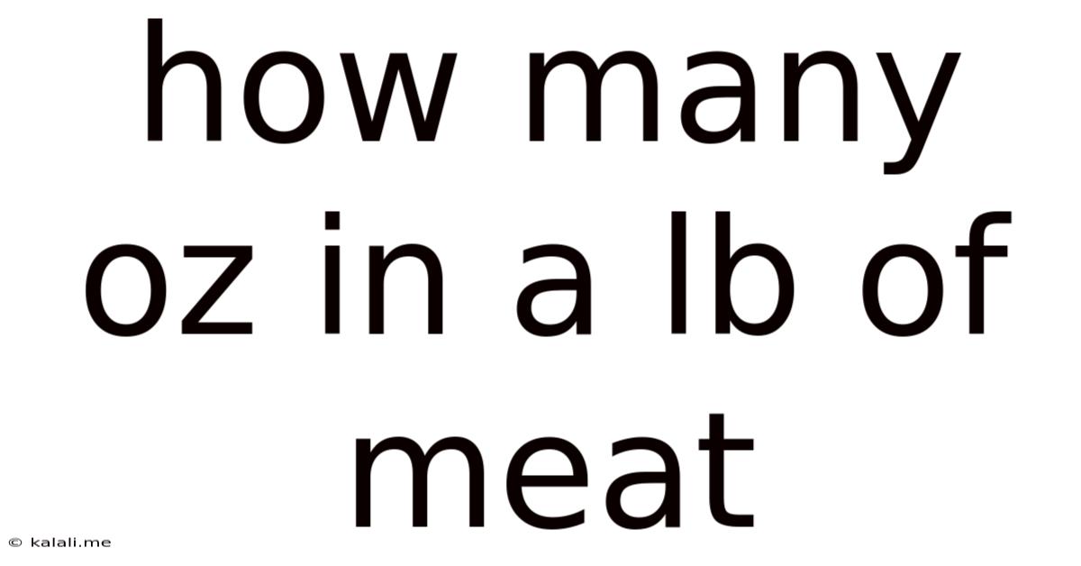 How Many Oz In A Lb Of Meat