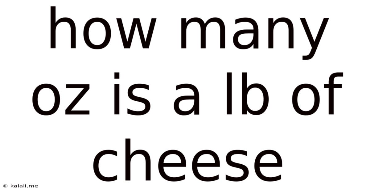 How Many Oz Is A Lb Of Cheese