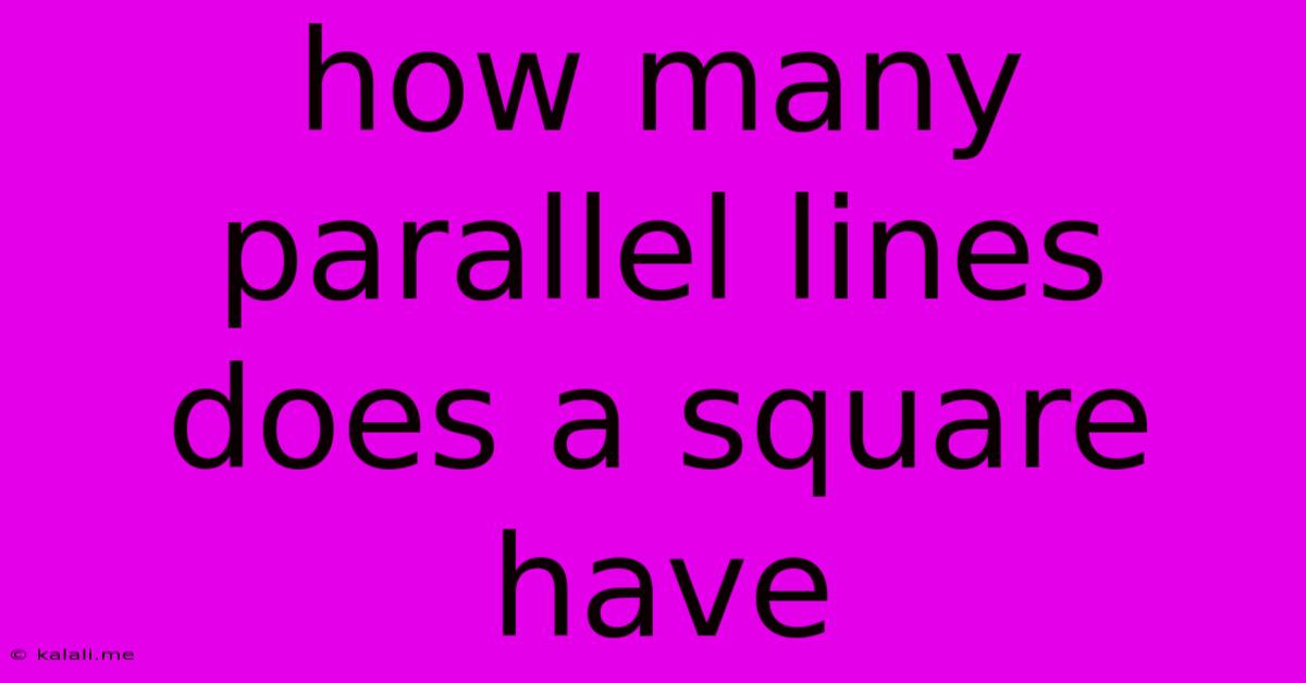 How Many Parallel Lines Does A Square Have