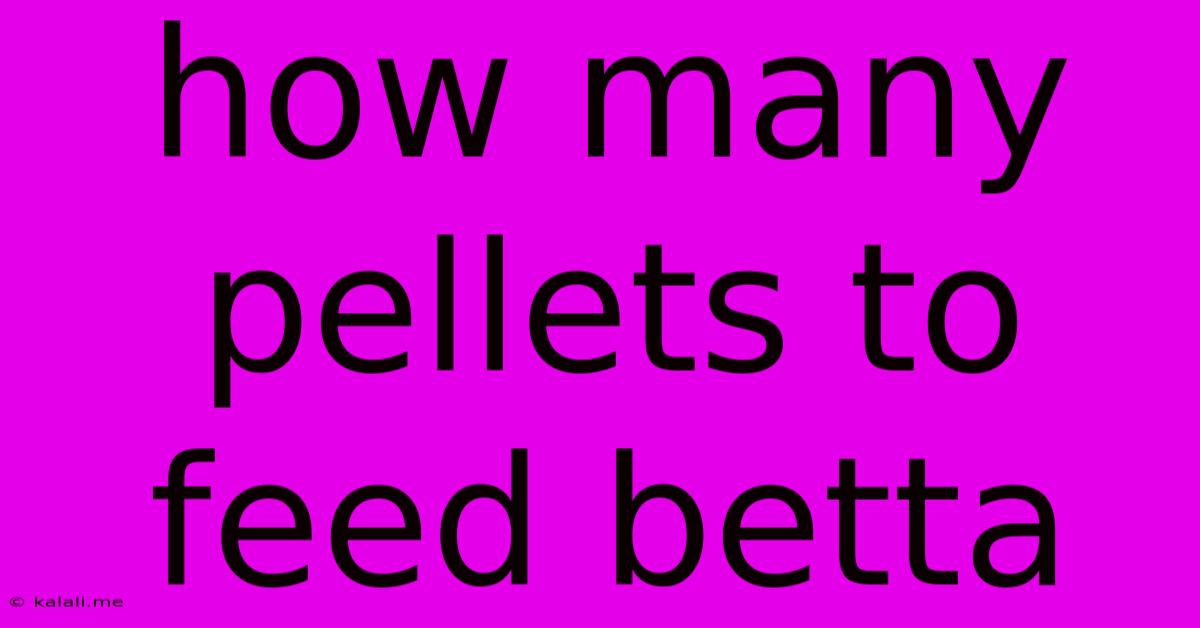 How Many Pellets To Feed Betta