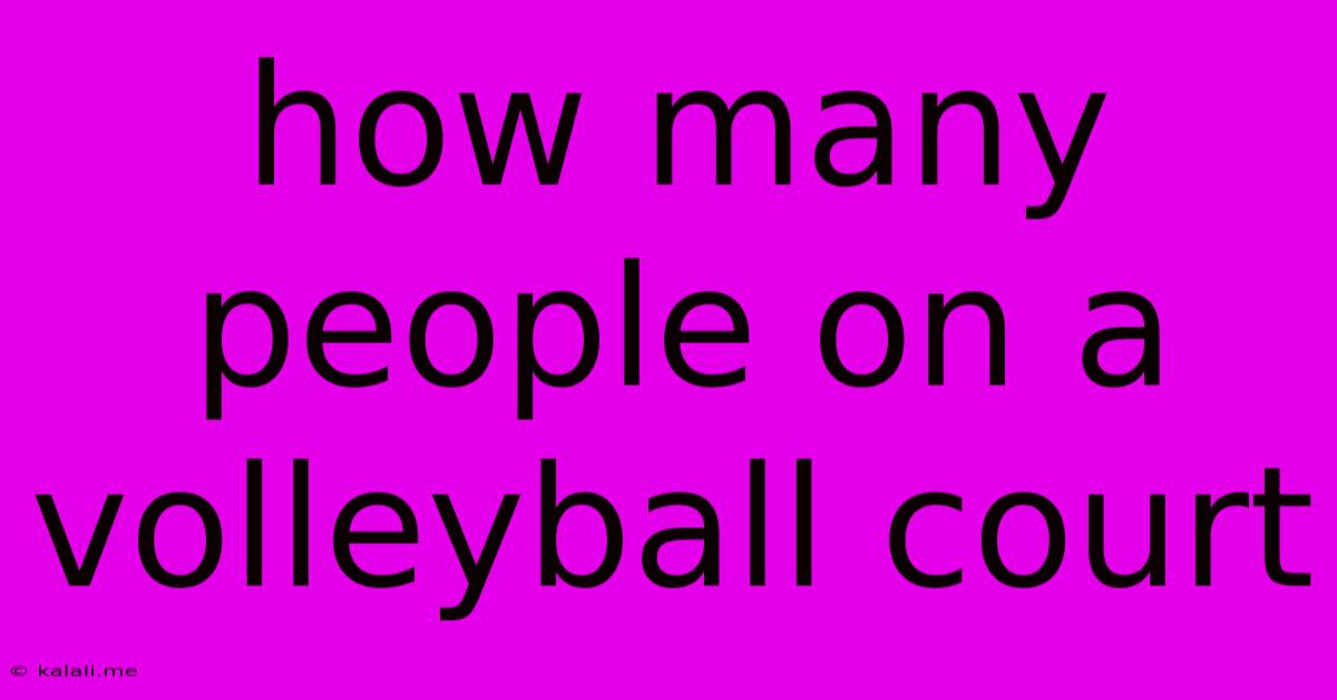 How Many People On A Volleyball Court