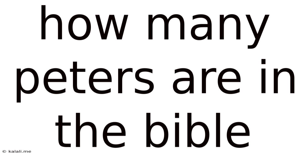 How Many Peters Are In The Bible