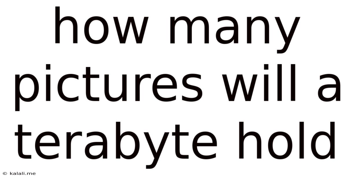 How Many Pictures Will A Terabyte Hold