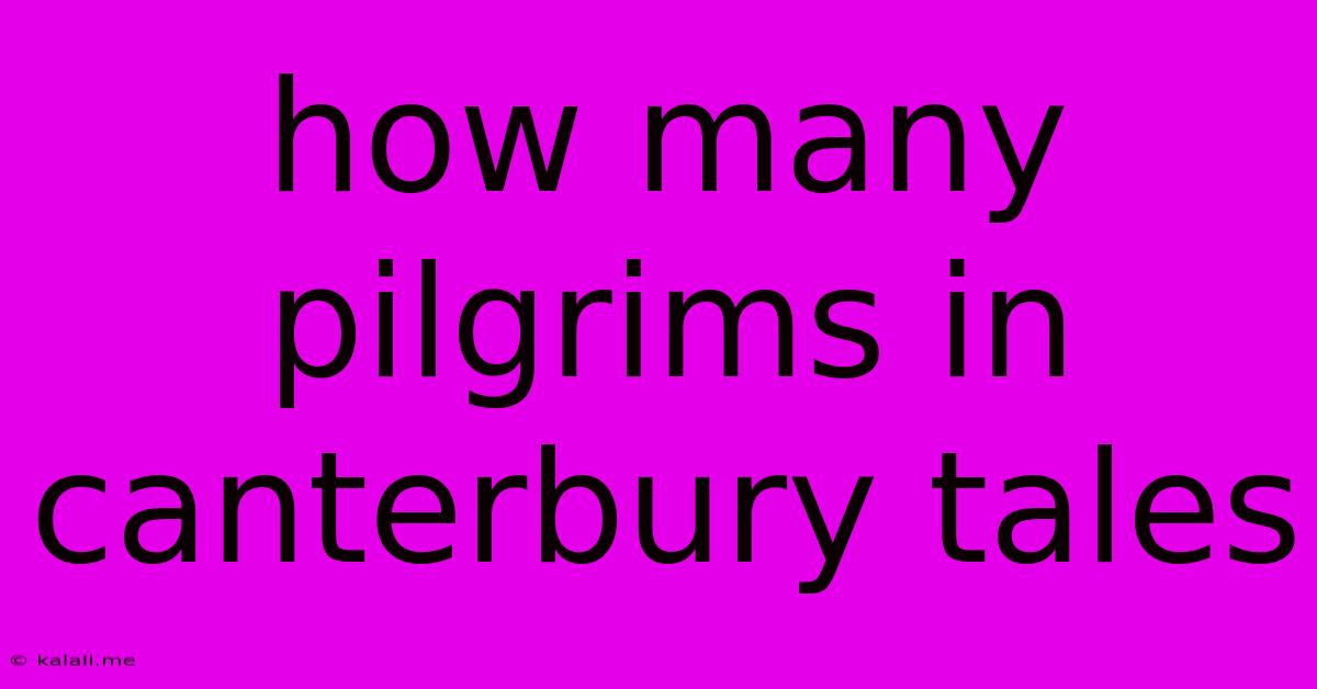 How Many Pilgrims In Canterbury Tales
