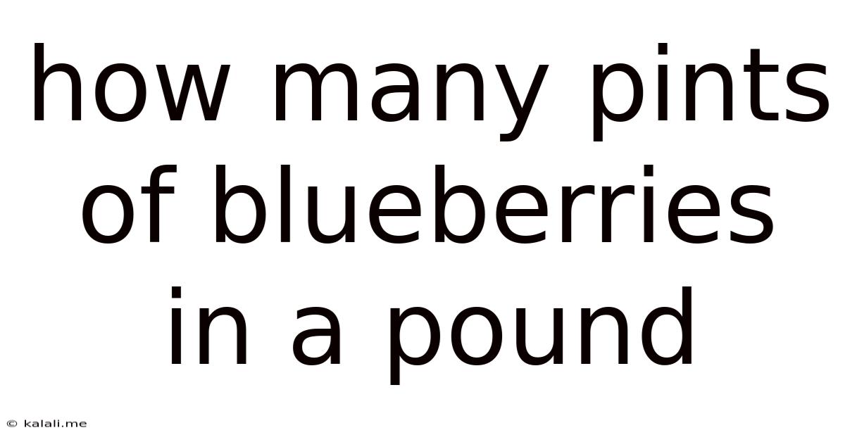 How Many Pints Of Blueberries In A Pound