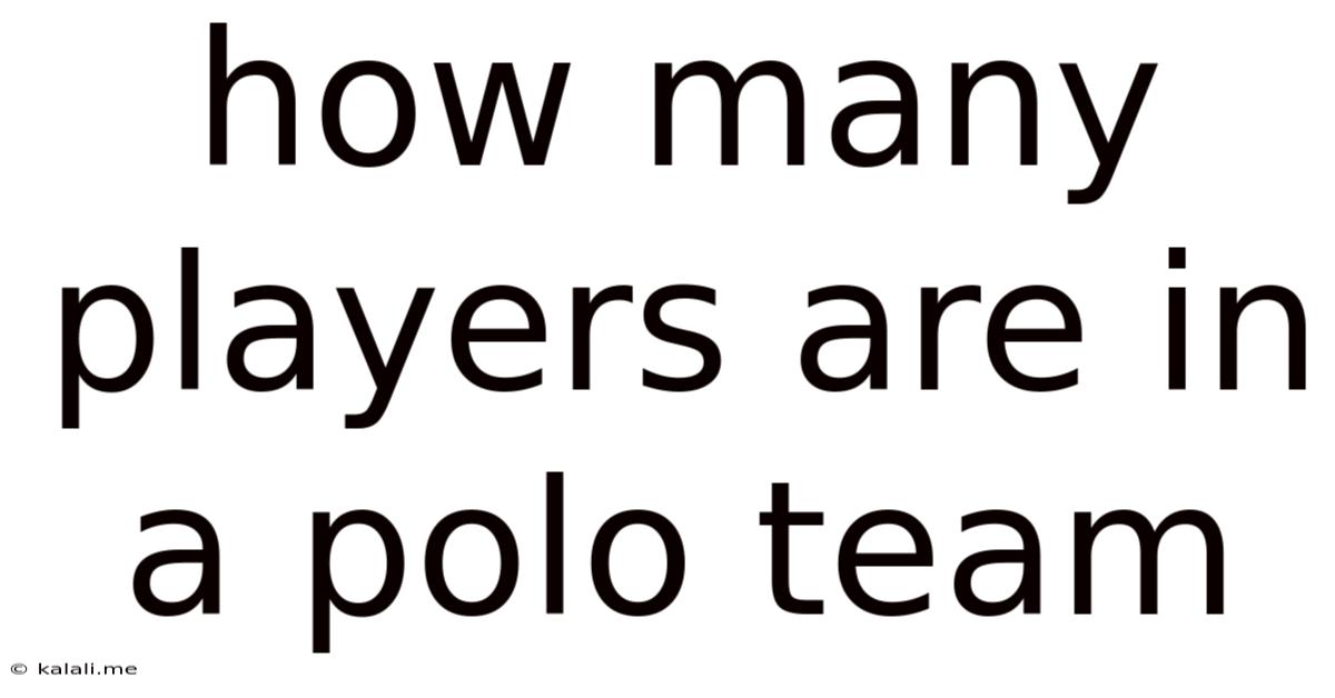 How Many Players Are In A Polo Team
